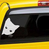 Aufkleber: Neugierige Katze 2