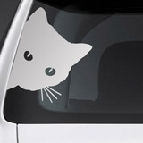 Aufkleber: Neugierige Katze 3