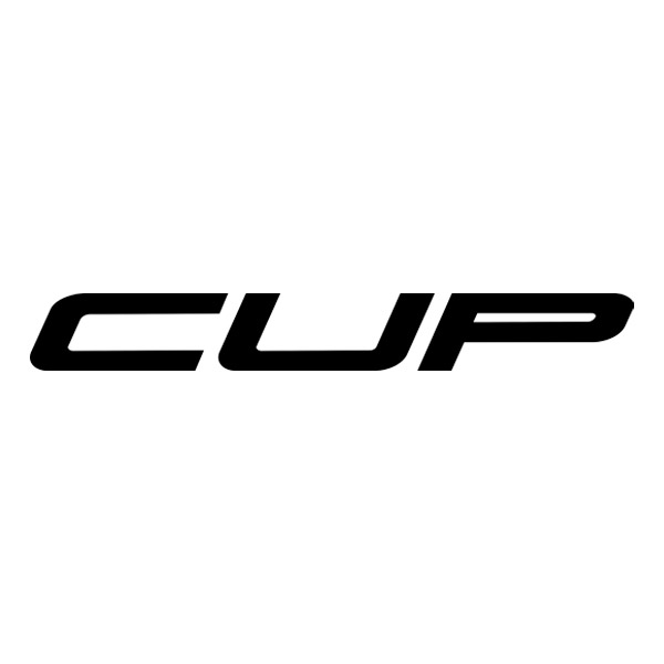 Aufkleber: Renault Clio Cup