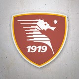 Aufkleber: US Salernitana 3