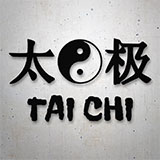 Aufkleber: Tai Chi Ying Yang 2