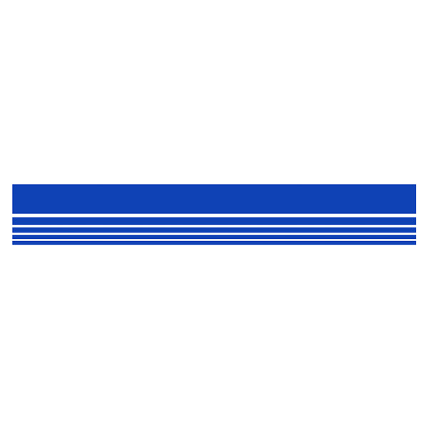 Aufkleber: Streifen Ford Rally Classic