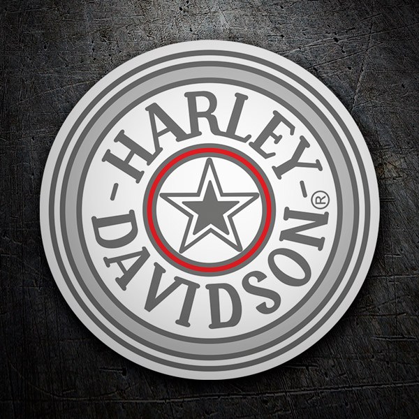 Aufkleber: Harley Davidson Silber