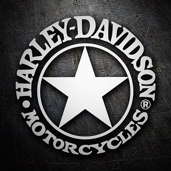 Aufkleber: Harley Davidson stern