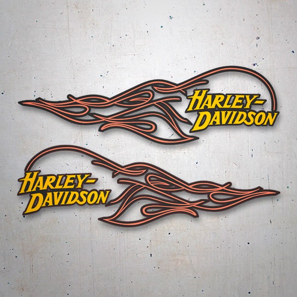 Aufkleber: Harley Davidson Flammen-Bausatz