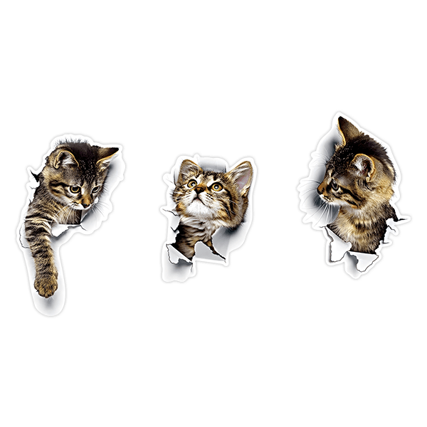 Wandtattoos: 3 freche Katzen