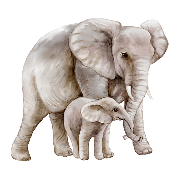 Kinderzimmer Wandtattoo: Elefant mit seinem Kalb