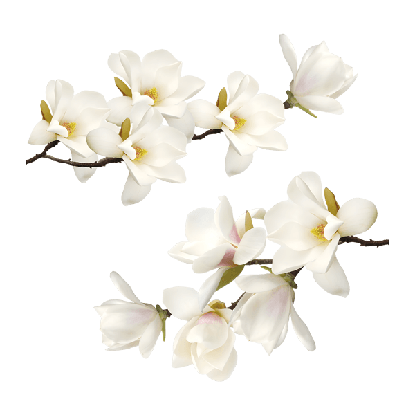 Wandtattoos: Weiße Blumen
