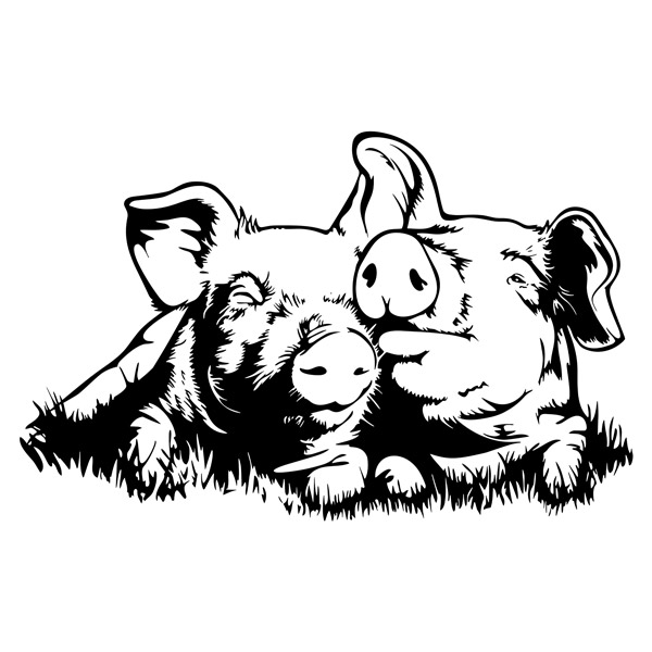 Wandtattoos: Schweinchen-Paar