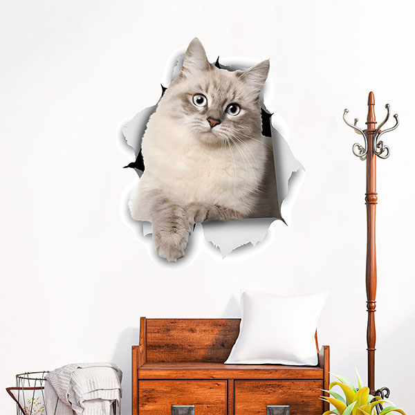Wandtattoos: Die Katze geht durch die Wand