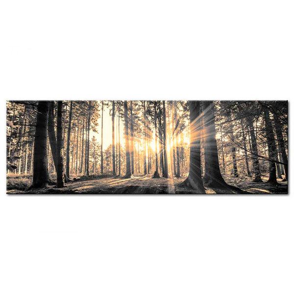 Andere produkte: Die Sonne im Wald