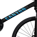 Aufkleber: Fahrrad MTB Kit Canyon F10 2