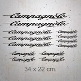 Aufkleber: Set 13X Campagnolo 2