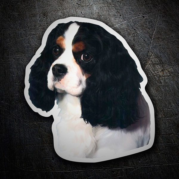 Aufkleber: Cavalier King Charles Spaniel