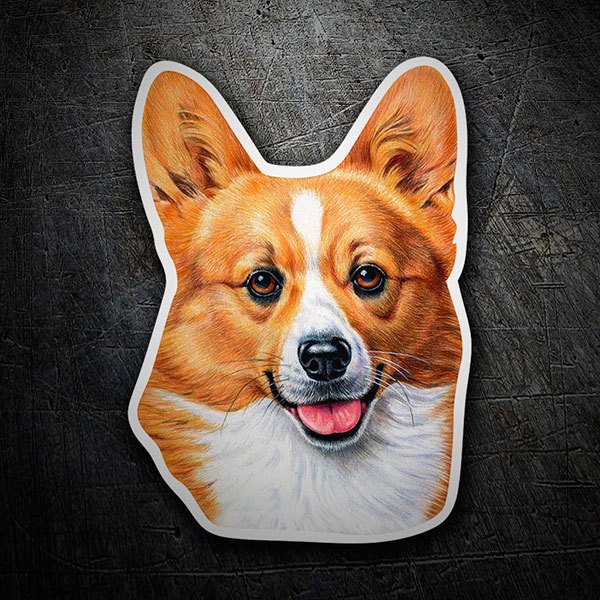corgi hund kaufen
