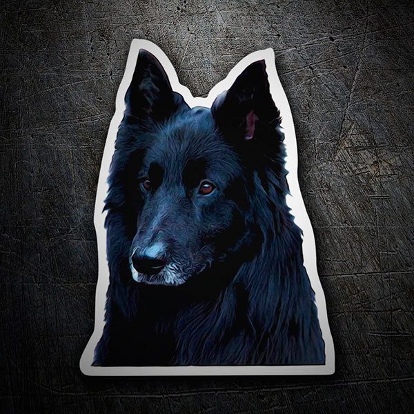 Aufkleber: Belgischer Schäferhund
