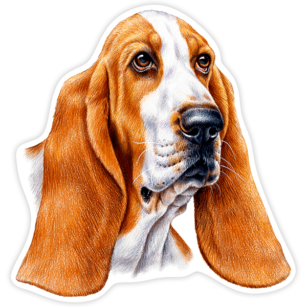 Aufkleber Hund Bassett