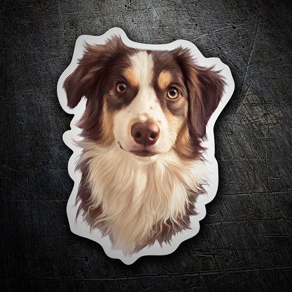 Aufkleber: Border Collie