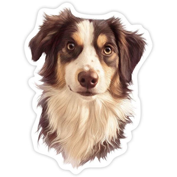 Aufkleber: Border Collie