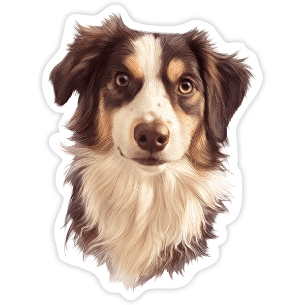 Aufkleber: Border Collie