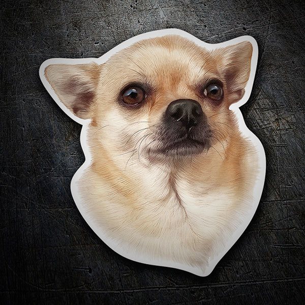 Aufkleber: Chihuahua