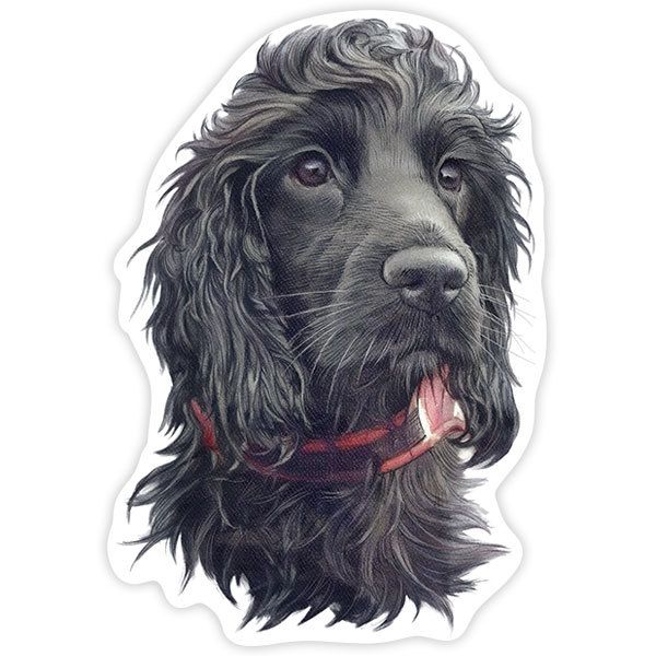 Aufkleber: Schwarzer Cocker Spaniel
