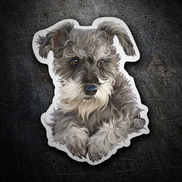 Aufkleber: Schnauzer Welpe