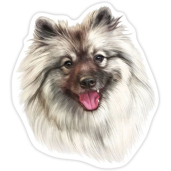 Aufkleber: Zwergspitz (Pomeranian)