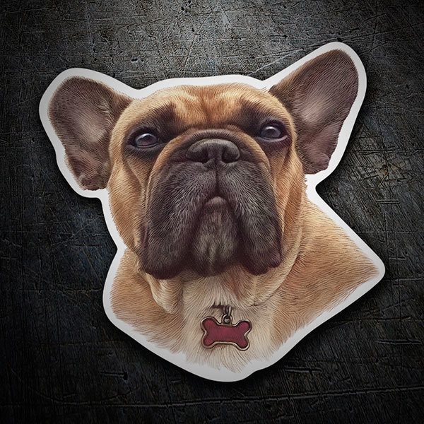 Aufkleber: Braune Französische Bulldogge