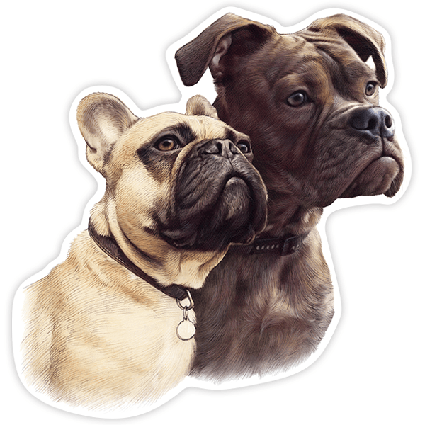 Aufkleber: Französisches Bulldoggenpaar