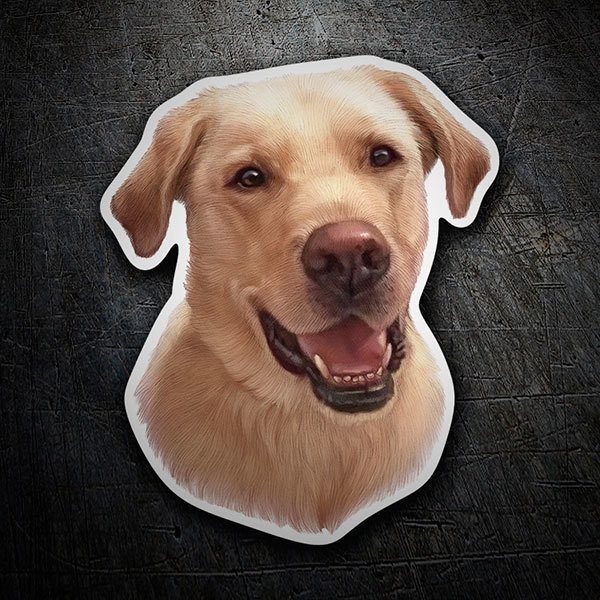 Aufkleber: Golden Retriever