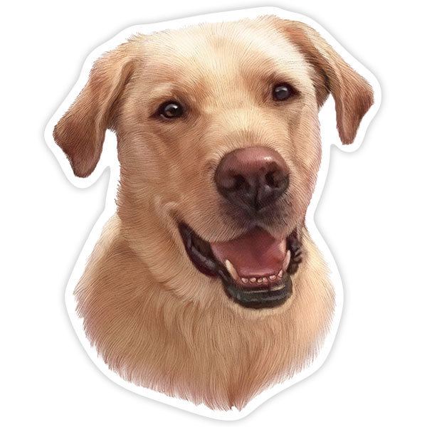 Aufkleber: Golden Retriever