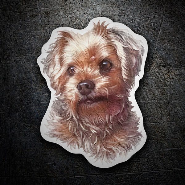 Aufkleber: Yorkshire Terrier