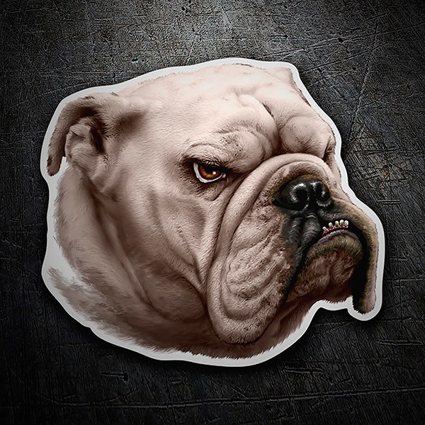 Aufkleber: Englische Bulldogge