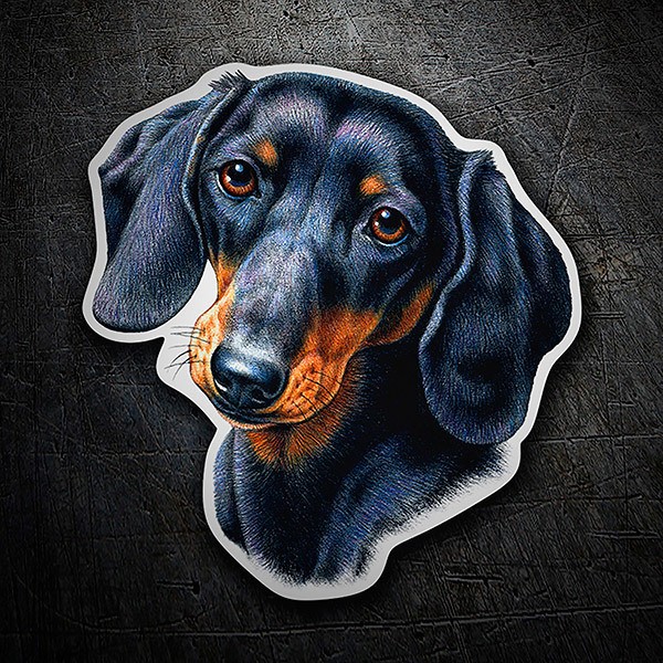 Aufkleber: Dackel (Wursthund)