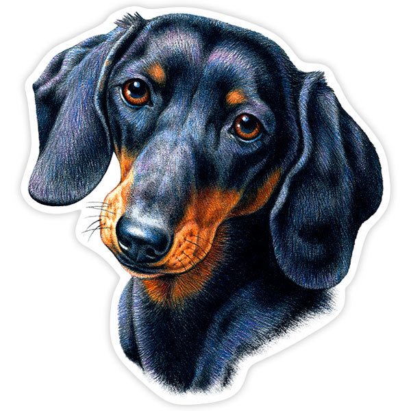 Aufkleber: Dackel (Wursthund)