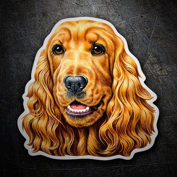 Aufkleber: Cockerspaniel braun