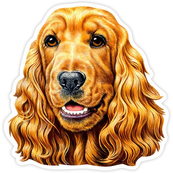 Aufkleber: Cockerspaniel braun