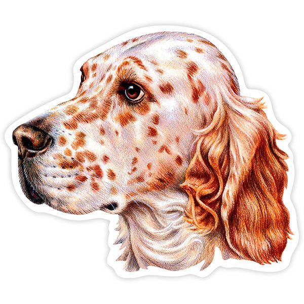 Aufkleber: Englischer Setter