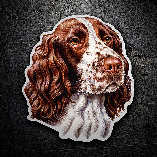 Aufkleber: Springer spaniel English