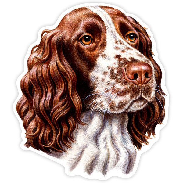 Aufkleber: Springer spaniel English