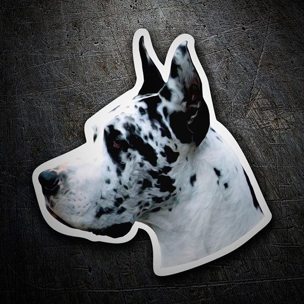 Aufkleber hund Deutsche Dogge Harlekin