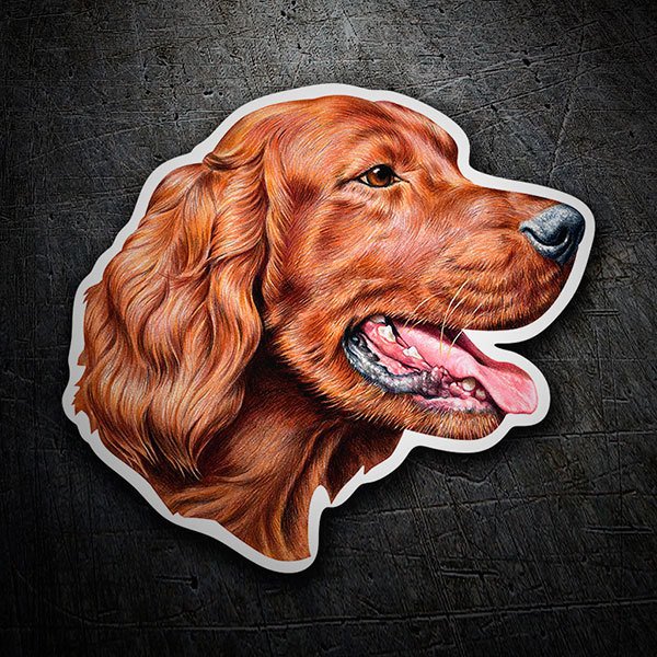 Aufkleber: Irischer Setter
