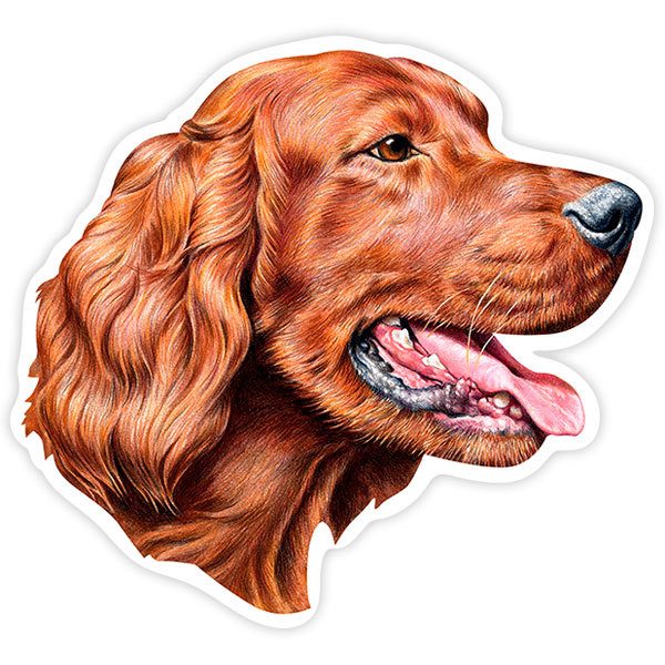 Aufkleber: Irischer Setter