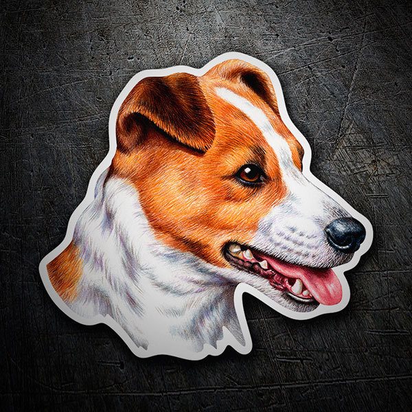 Aufkleber: Jack Russell Terrier
