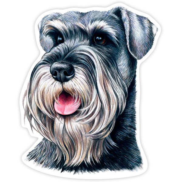 Aufkleber: Schnauzer