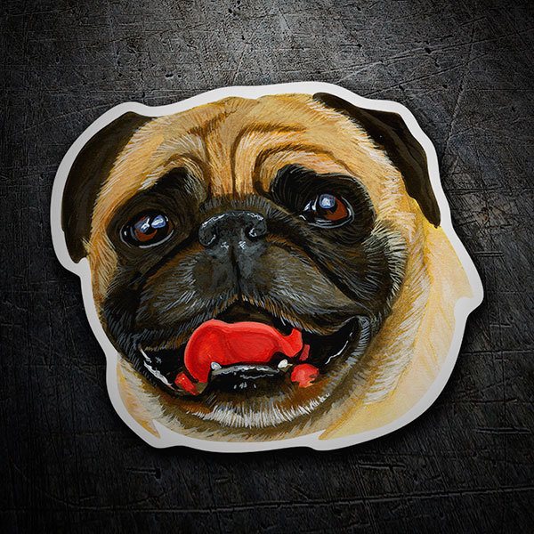 Aufkleber: Mops (Pug)