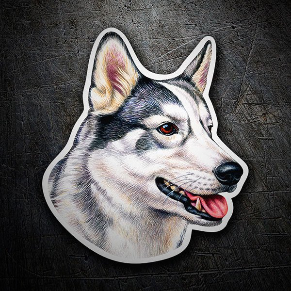 Aufkleber: Sibirischer Husky