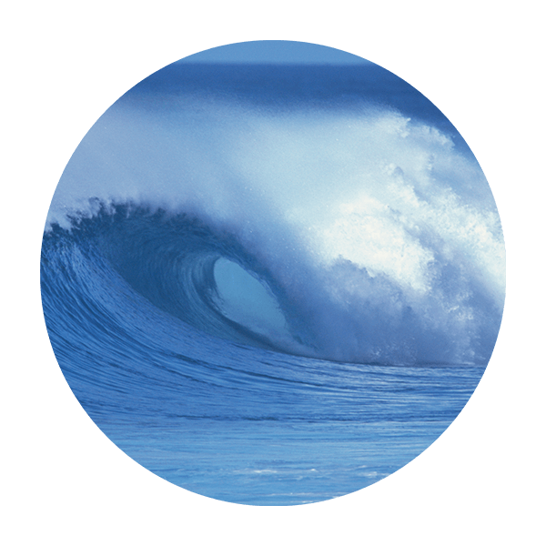 Wandtattoos: Surfen Welle