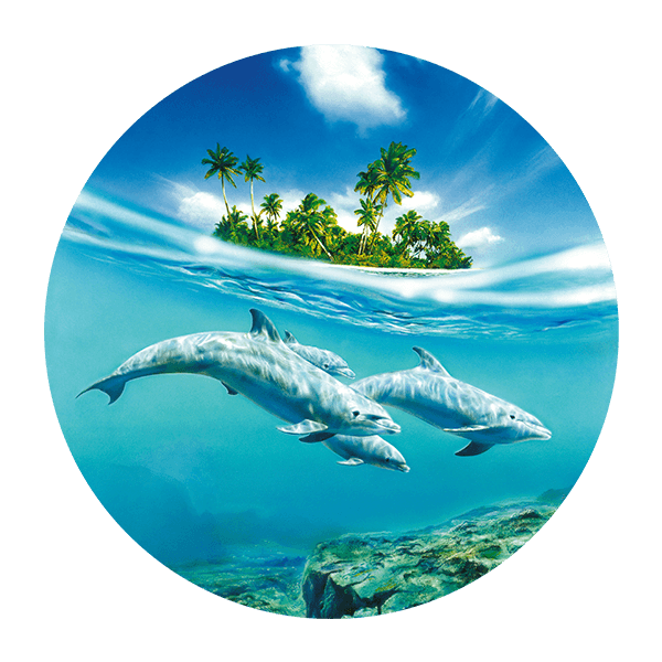 Wandtattoos: Delfine am Meer
